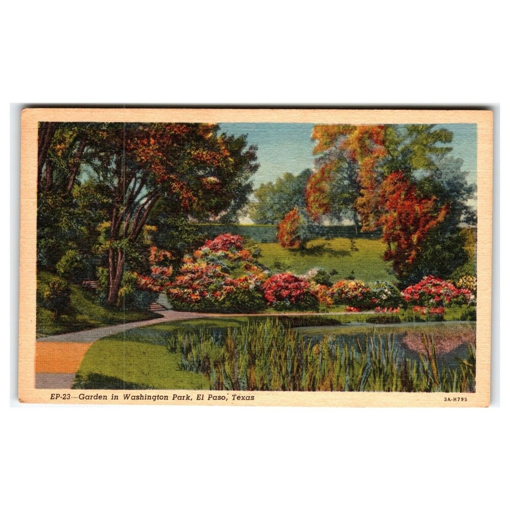 El Paso TX Washington Park Garden Pond Linen Postcard Curteich